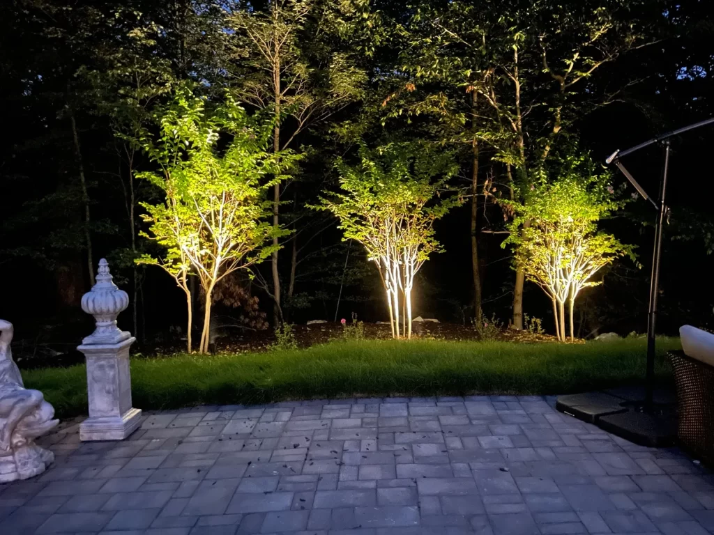 uplighting trees