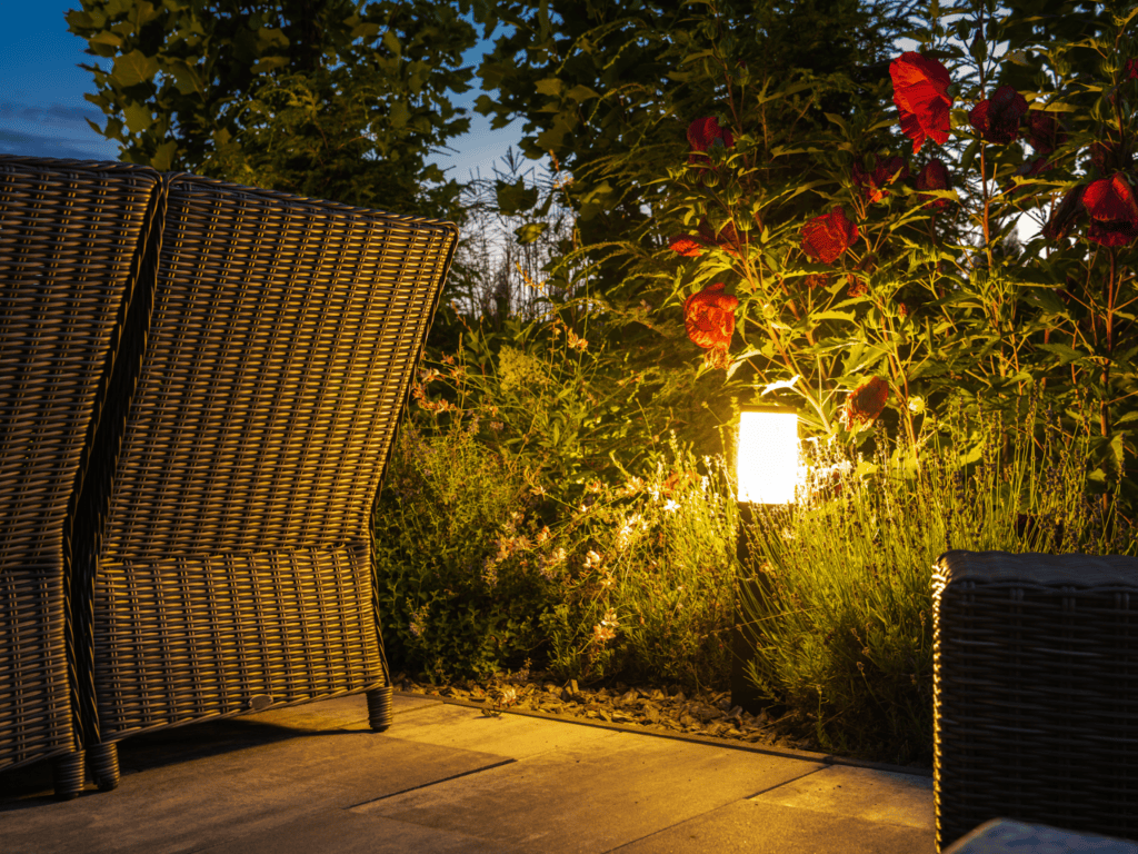 landscape plus lighting