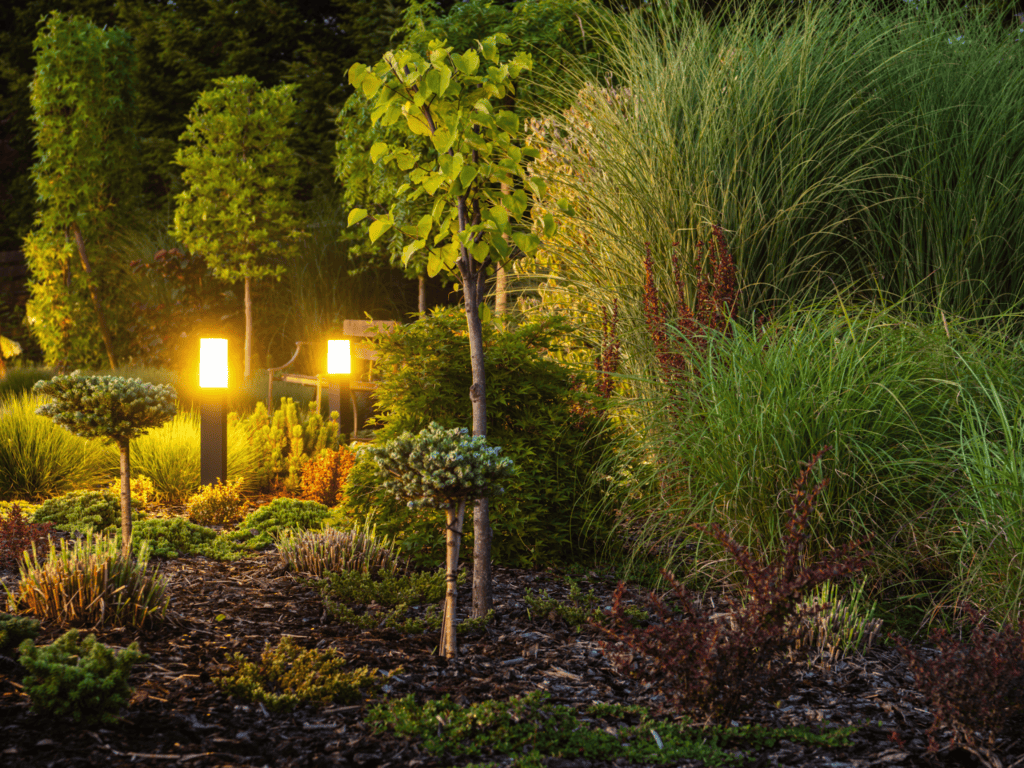 outdoor lighting that enhance the landscape